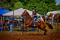 Horse Show Rockin H Farms Gandeeville, WV 6-29-13